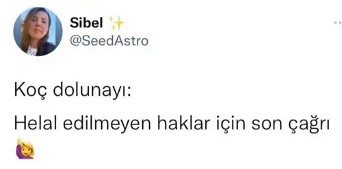 koç46.webp