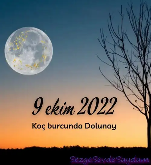 koç5 (1).webp