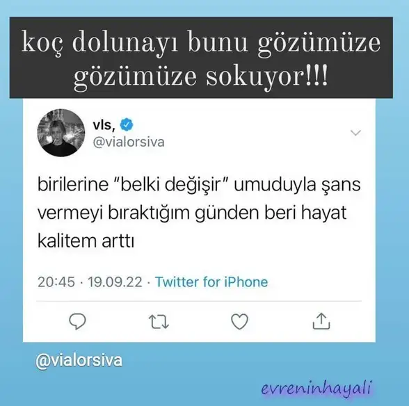 koç51.webp