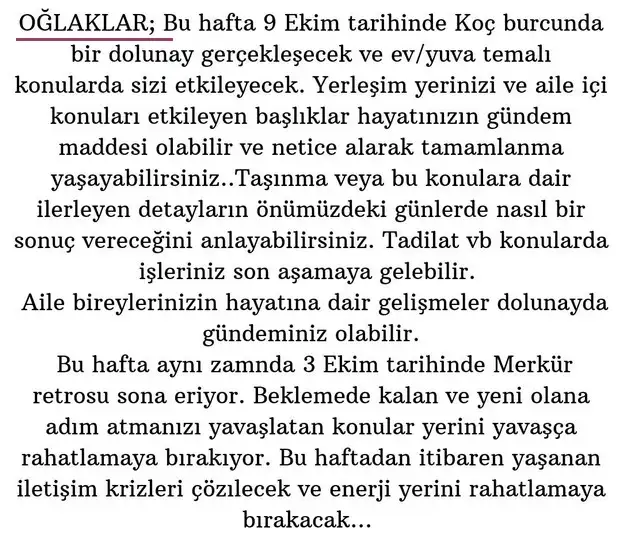 koç6 (11).webp