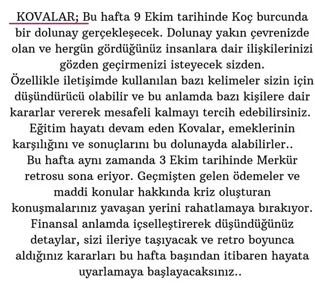 koç6 (12).webp