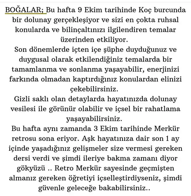 koç6 (3).webp