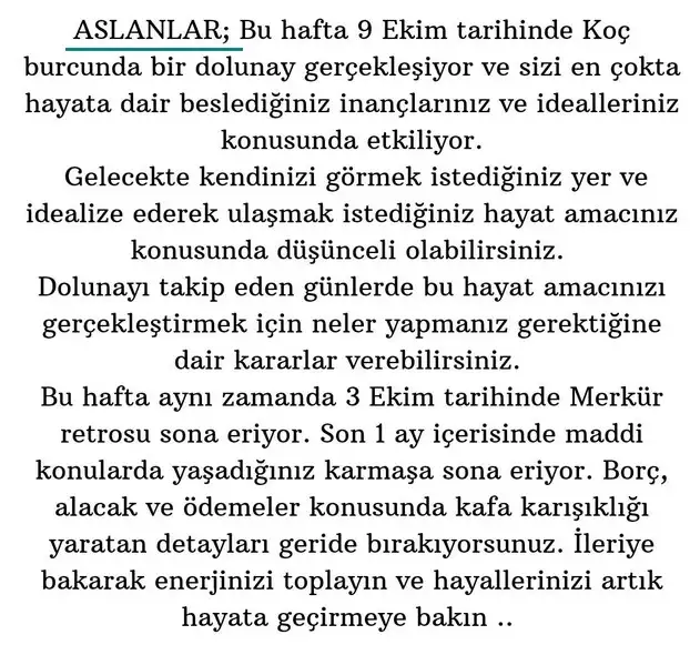 koç6 (6).webp