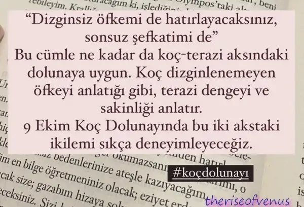 koç6.jpg