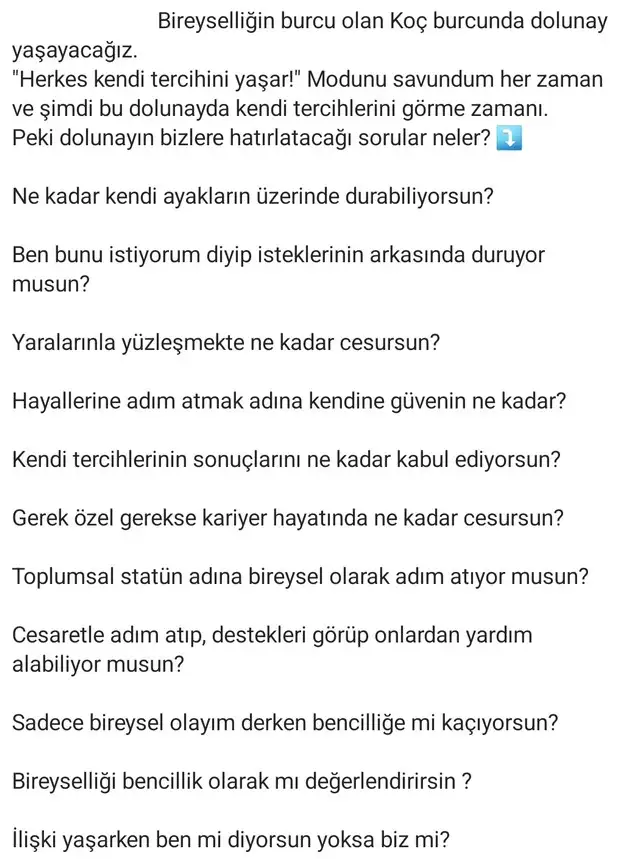koç7 (2).webp
