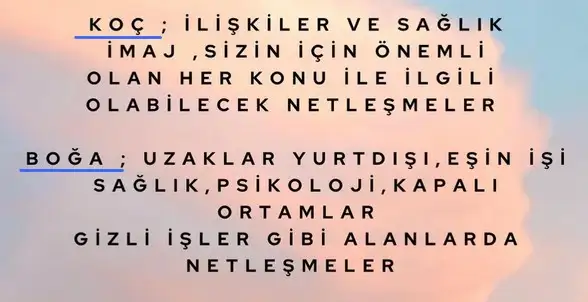 koç8 (1).webp