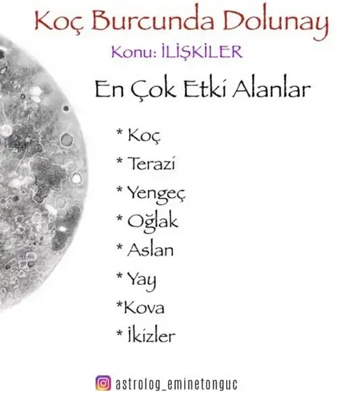 koç8 (1).webp