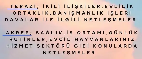 koç8 (4).webp