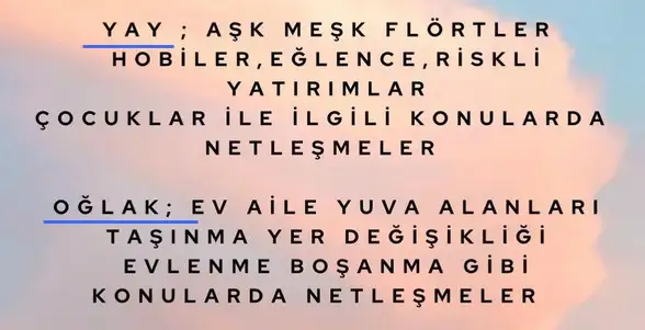 koç8 (5).webp
