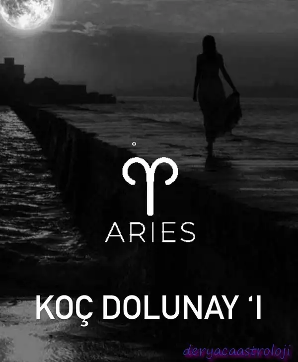 koç86 (2).webp