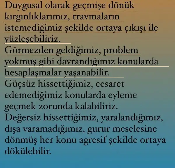 koç86 (4).webp