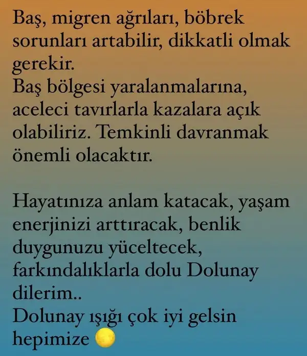 koç86 (9).webp