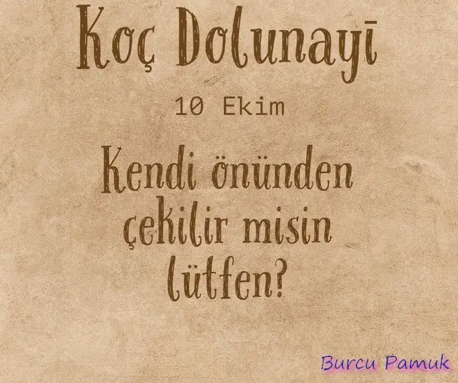 koç88 (1).webp