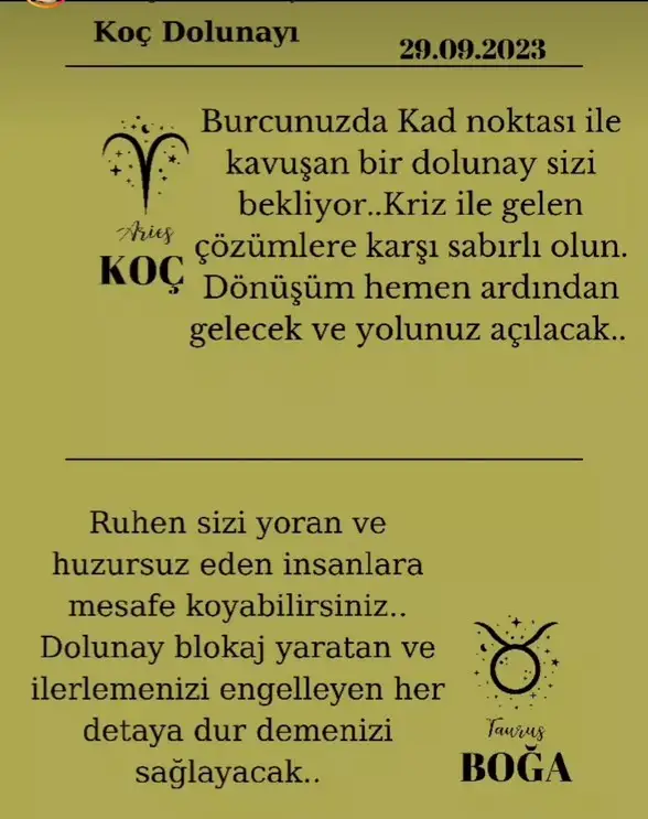 koç88 (1).webp