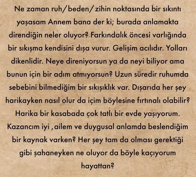 koç88 (7).webp
