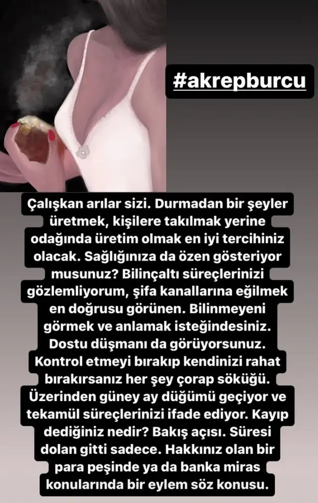 koç9 (9).webp