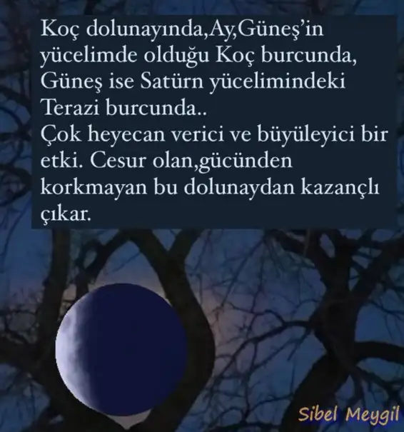 koçç (1).webp