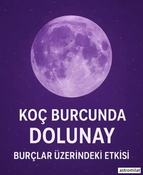 koççç (3).webp