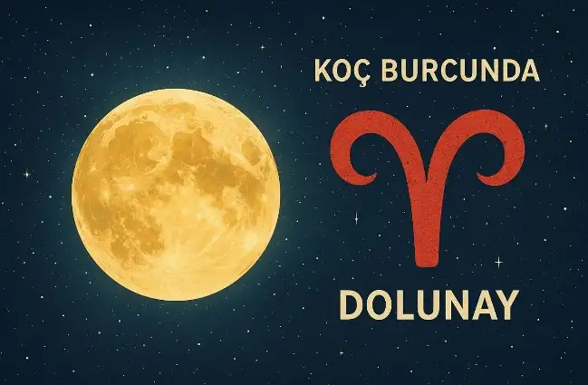 koççç (3).webp
