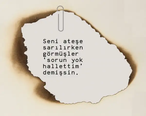 koçd1 (1).webp