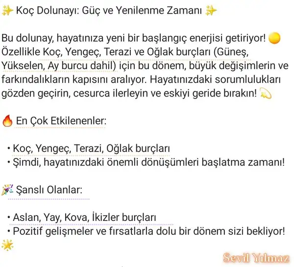 koçd1 (2).webp