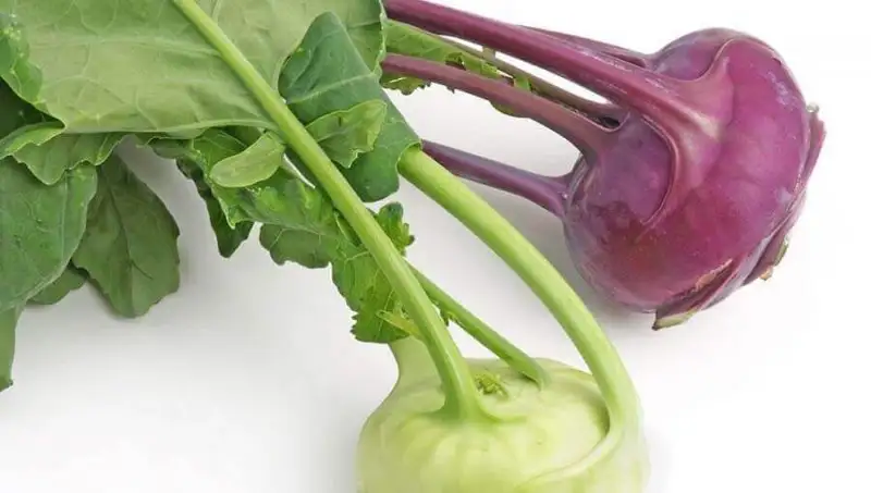 kohlrabi-alabas.webp