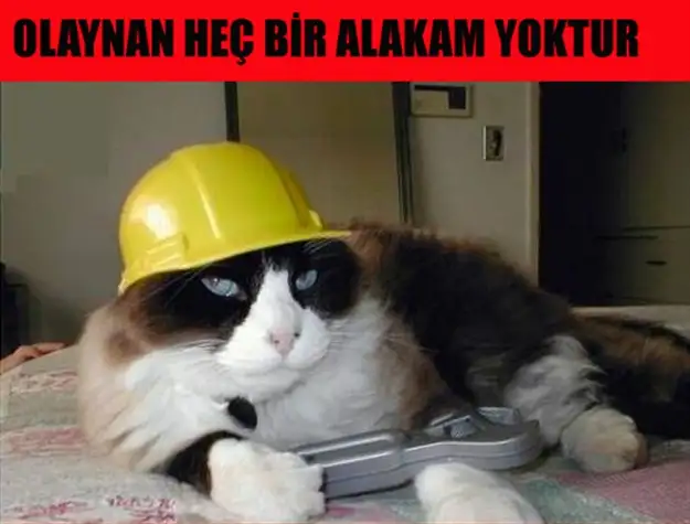 Komik-Hayvan-Capsler-2017.webp