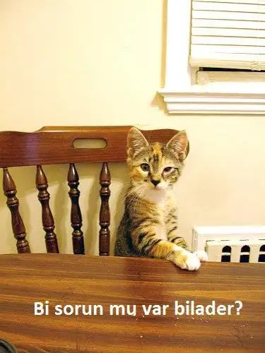 komik-kedi-artiz.webp