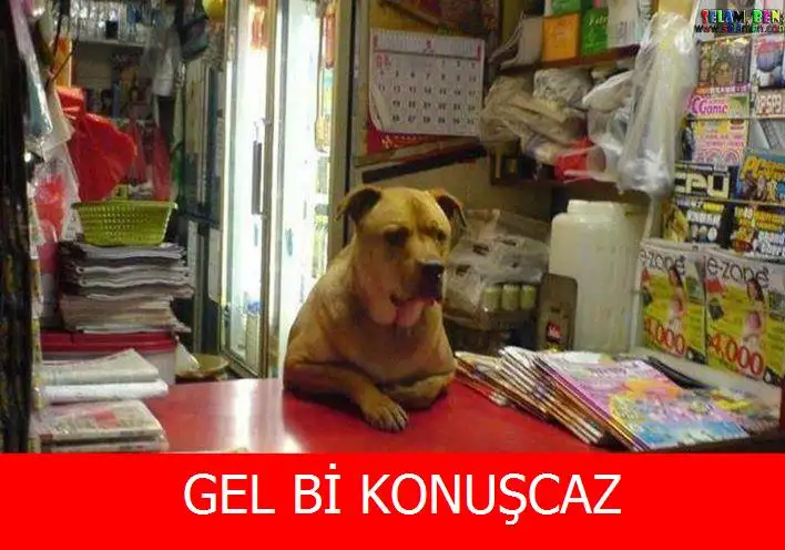 konu%C5%9Fmam%C4%B1z-laz%C4%B1m-diyen-hamamb%C3%B6ce%C4%9Fi_467268.webp