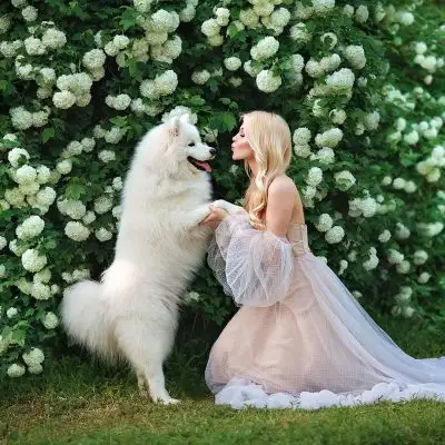 köpek (2).webp