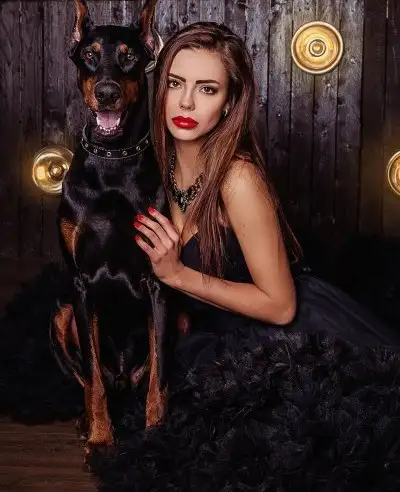 köpek (4).webp