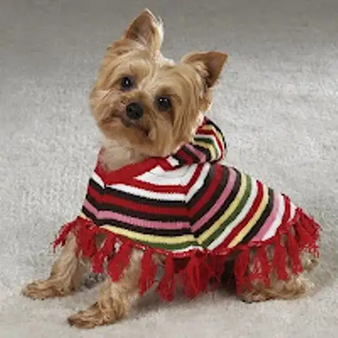 köpek-örgü-giysisi.webp
