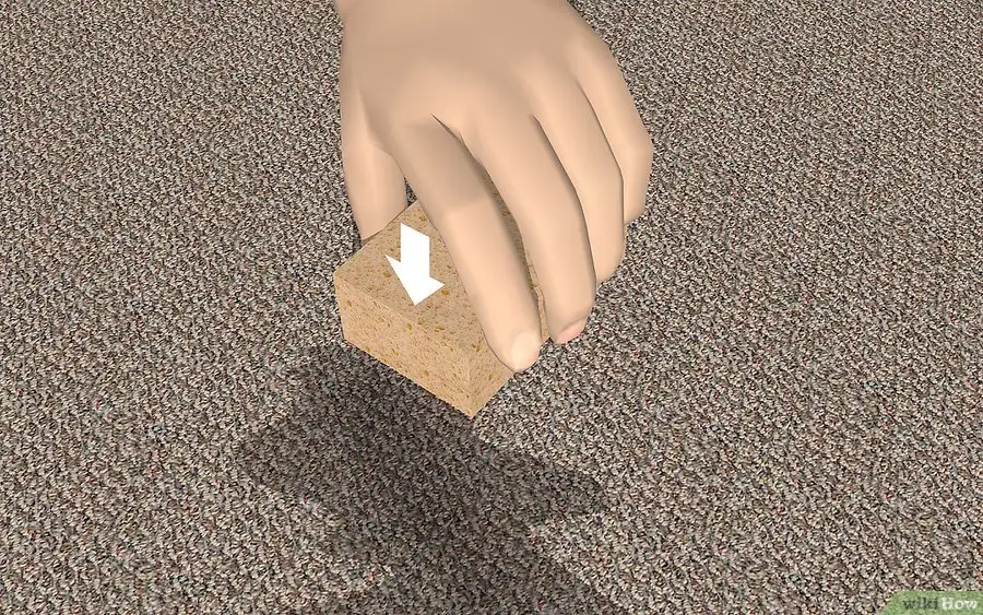 kopek_cisi_halidan_nasil_cikar.webp
