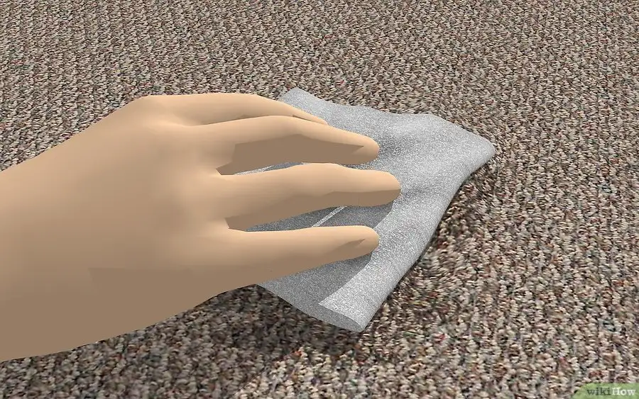 kopek_idrari_halidan_nasil_cikar.webp