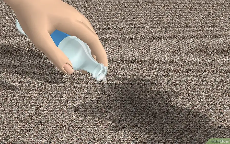 kopek_idrarinin_ustune_soda_dokmek.webp