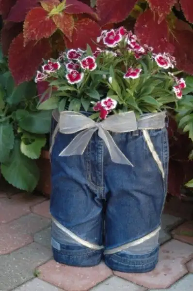 kot-pantolondan-saksilar-8.webp