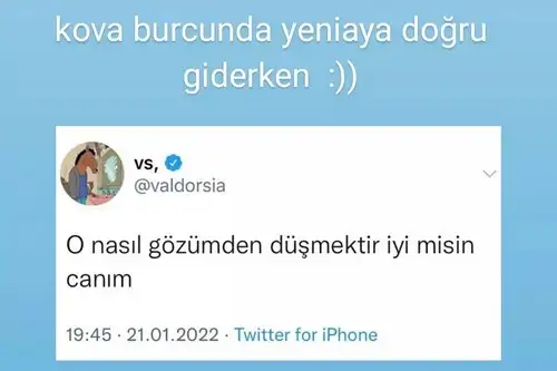 kov (2).webp