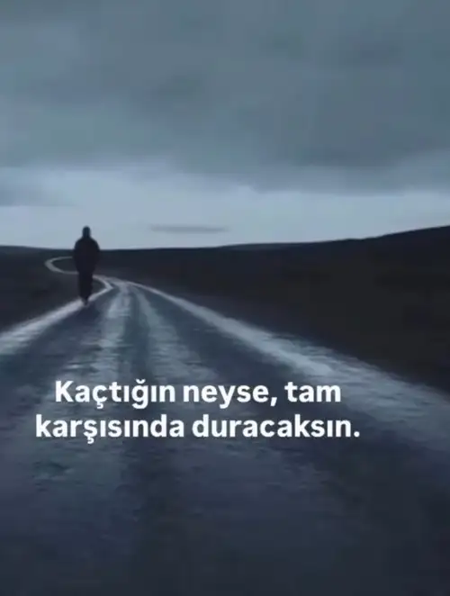 kov (4).webp
