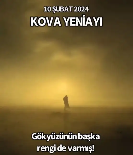 kov0 (1).webp