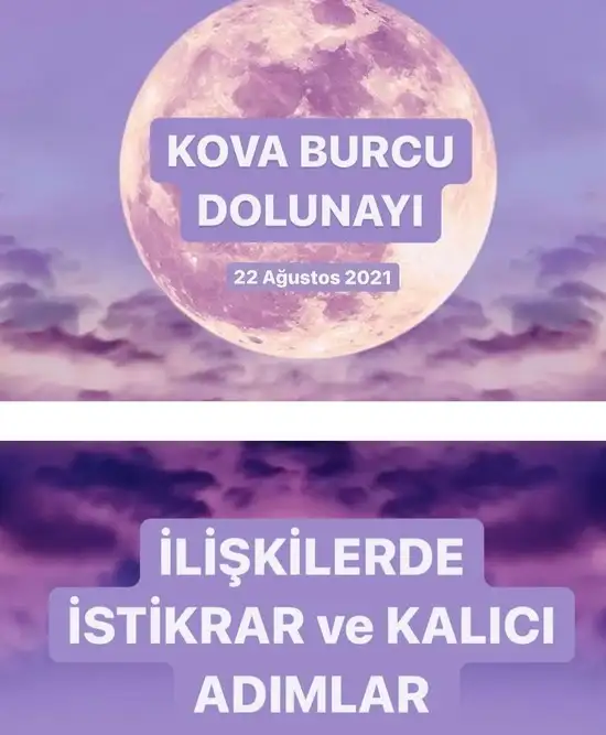 kov1 (1).webp