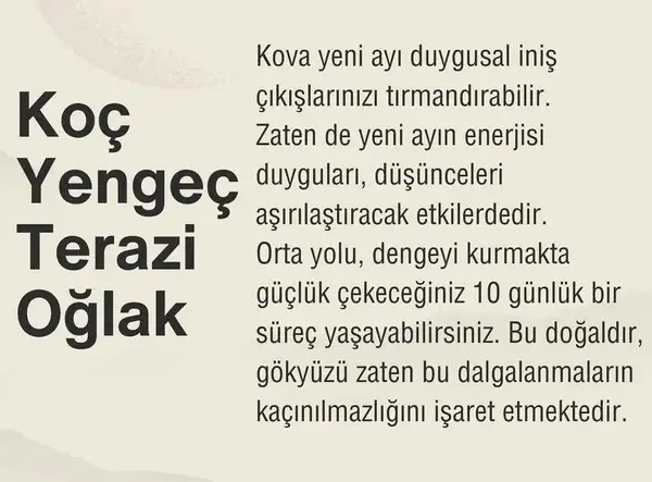 kov1 (2).webp