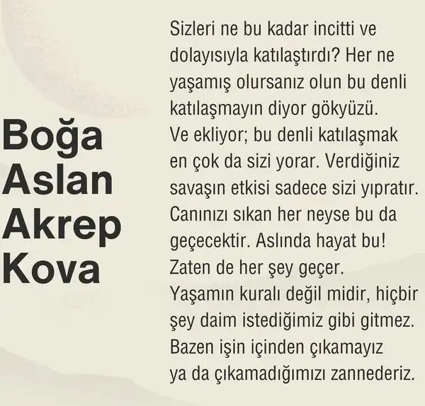 kov1 (4).webp