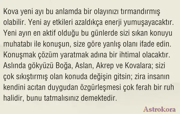 kov1 (5).webp