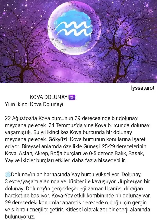 kov3 (1).webp