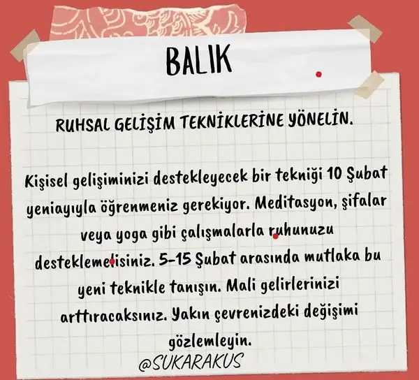 kov4 (13).webp