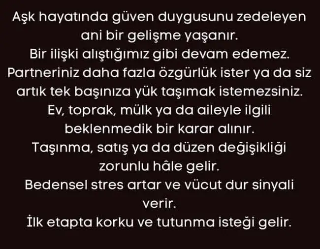 kov4 (5).webp