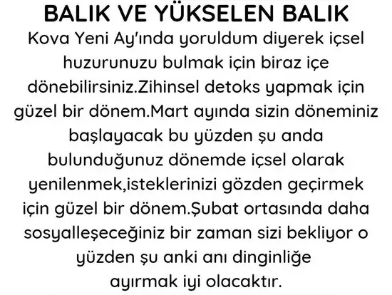 kova 14 (13).webp