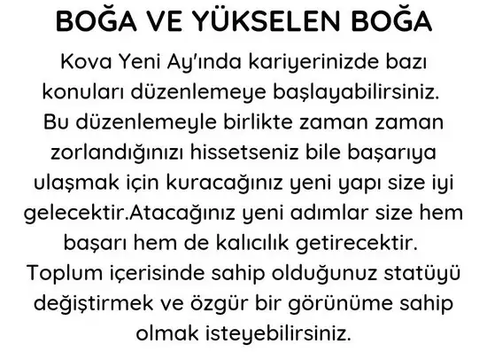 kova 14 (3).webp