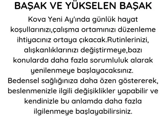 kova 14 (7).webp