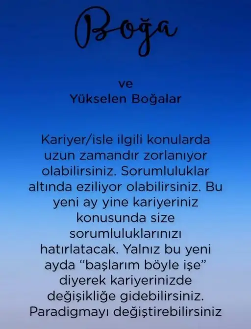 kova 14b.webp